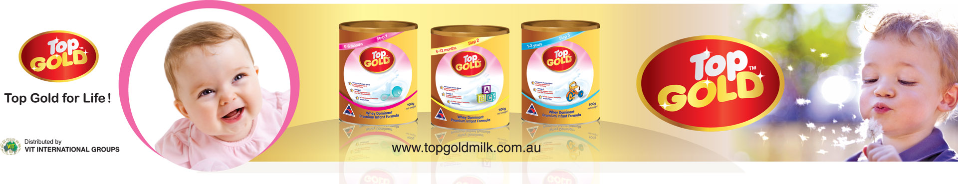 Top Gold Milk Banner 1